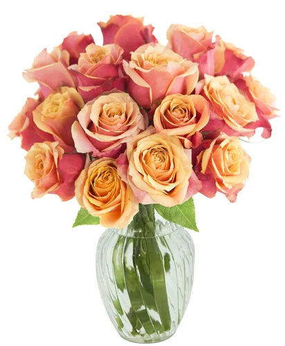 Vista 19 de KaBloom - Rosas arcoíris (media docena)- Flores frescas para cumpleaños, San Valentín y Día de la Madre