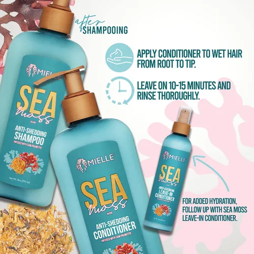 Vista 3 de Mielle Organics Sea Moss - Acondicionador hidratante para cabello seco, fortalece las hebras para reducir el desprendimiento, mejora el aspecto