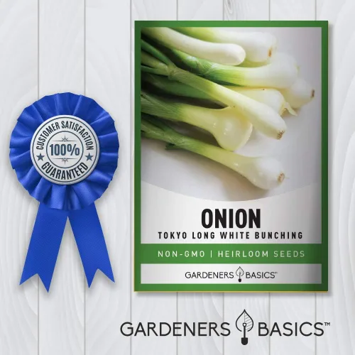 Vista 7 de Gardeners Basics, Semillas de cebolla verde para plantar: el racimo blanco largo de Tokio es una gran variedad de verduras no transgénicas, 200