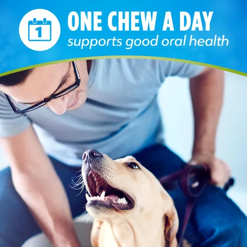 Vista 8 de DentaLife ActivFresh - Paquete de 2 masticables para perros pequeños, masticables dentales para refrescar el aliento, sabor a pollo, 13.5 onzas cada