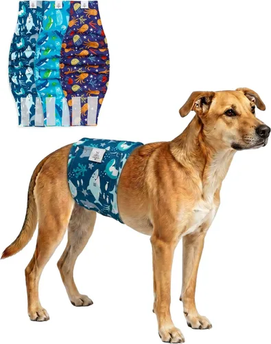 Vista 45 de CuteBone - Pañales lavables para perro macho, banda abdominal, paquete de 3 unidades, color negro, modelo DM54XS