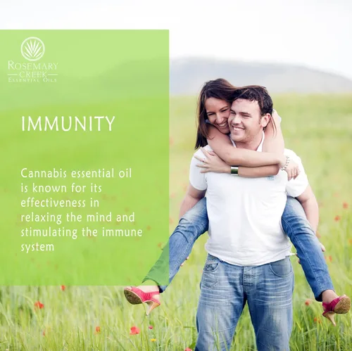 Vista 6 de Aceite esencial de cannabis (Cannabis Sativa) – 100% puro y natural – Grandes propiedades relajantes – por Rosemary Creek Essential Oils