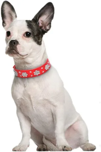 Vista 4 de Serijoars Collar para perro y gato con diamantes de imitación - Collar brillante de cuero PU ajustable, tallas XS, S, M (XS, negro)