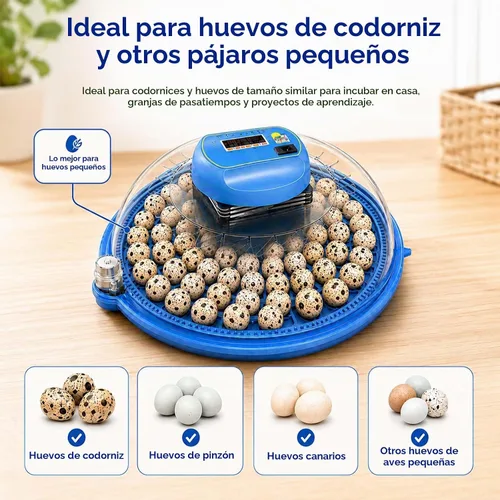 Vista 2 de Incubadora de huevos de codorniz de 100 huevos con girador automático y control de humedad