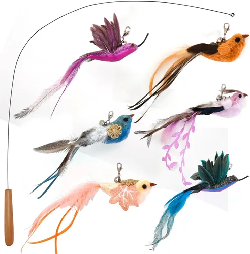 Vista 7 de miwoowim Juguetes interactivos para gatos, 10 piezas de juguetes retráctiles para gatos y juguetes de plumas, juguetes de enriquecimiento para gatos
