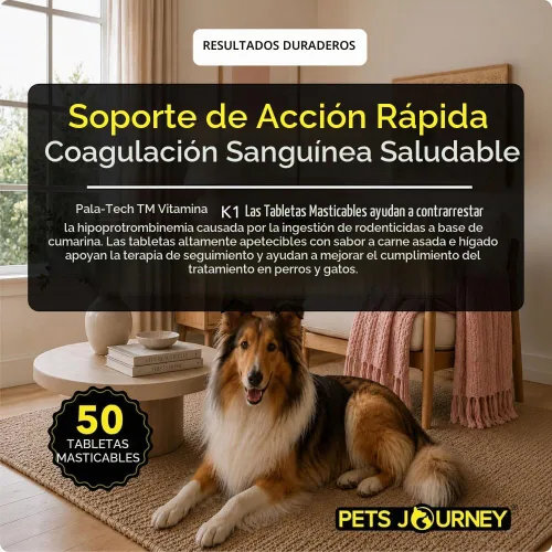 Vista 3 de Pala-Tech - Tabletas masticables de vitamina K1 para perros, contadores de hipoprotrombinemia, suplemento de vitamina K1 para perros con sabor a