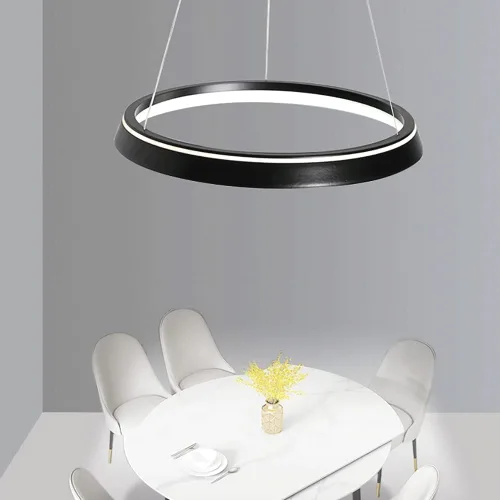 Vista 7 de Modern Creative Ring Shape Pendant Lights 6000K White Light Ceiling Hanging Lighting Nordic Aluminum Chandelier for Bedroom Living Room(Dark,50CM)