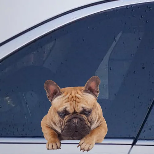 Vista 43 de Calcomanías de perro caniche, divertidas calcomanías de vinilo troqueladas para automóvil, laptop, parachoques Estilo-37