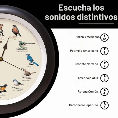 Vista 5 de Mark Feldstein, Reloj de Pared Original con Pájaro Cantante, 13 Pulgadas, Negro