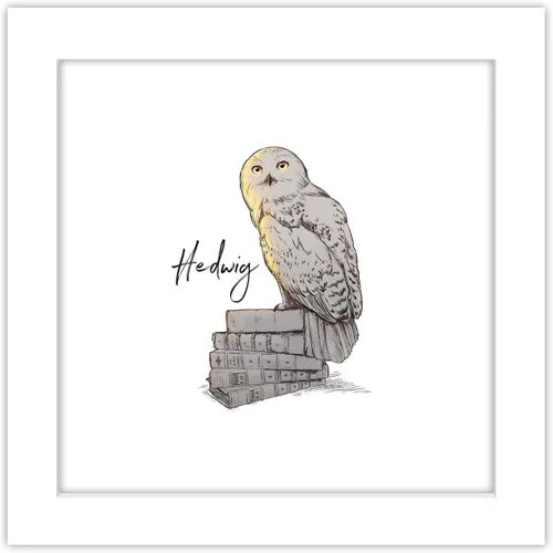 Vista 10 de Gallery Pops Harry Potter - Arte de pared Glimmer Hedwig, versión enmarcada negra, 12 x 12 pulgadas Versión con marco negro