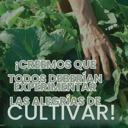 Vista 9 de Mountain Valley Seed Co - Lata de huerta de más de 50,000 semillas, 16 variedades