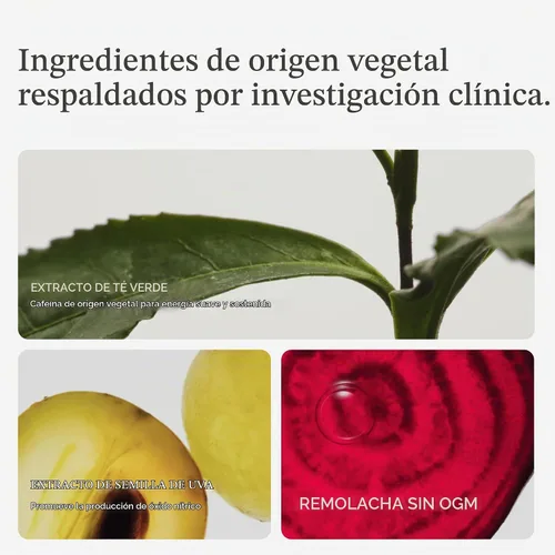 Vista 5 de HumanN SuperBeets Energy Plus Polvo de raíz de remolacha + 80 mg de cafeína