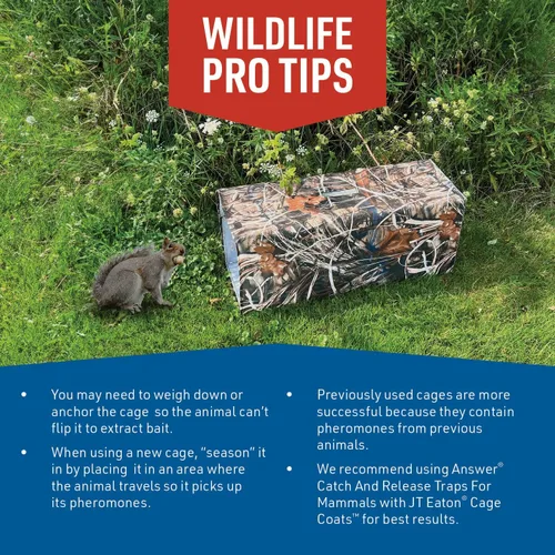 Vista 4 de JT Eaton Trampa de captura en vivo de 24 pulgadas con cubierta de jaula