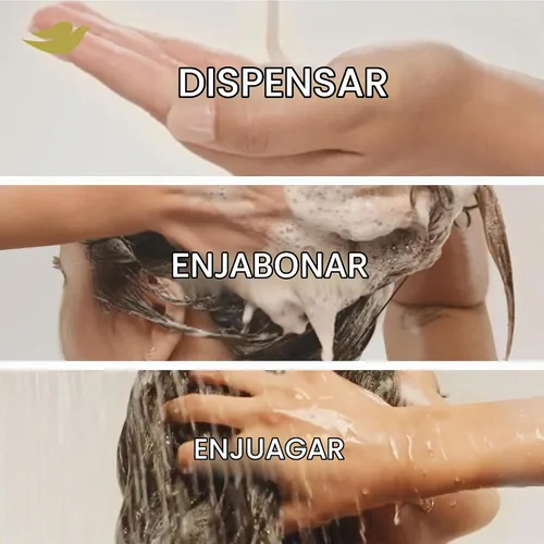 Vista 13 de Dove Champú Nutritive Solutions Daily Moisture hidratante para cabello seco, 12 onzas líquidas (4 unidades)