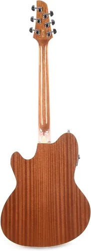 Vista 5 de Ibanez Talman TCY10E Guitarra Acústica-Eléctrica - Sea Foam Green