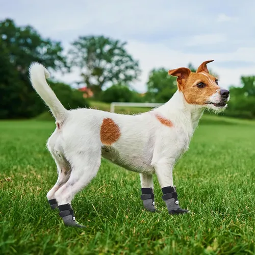 Vista 6 de Botas para perro, calcetines impermeables para pavimento caliente, botines antideslizantes para perros, protectores de patas para suelos de madera