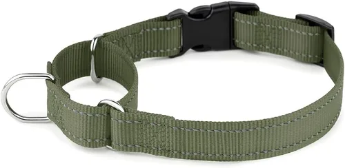 Vista 14 de Collar reflectante de martingala de Plutus Pet con hebilla - Collar de entrenamiento duradero y ajustable para evitar tirones, collar de gargantilla