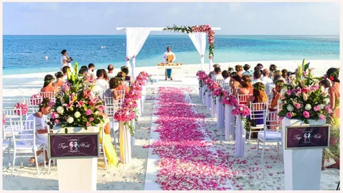 Vista 4 de ocharzy 1000 pétalos de rosa artificiales de seda para decoración de boda, noche romántica, día de San Valentín, fiestas, eventos Gradiente B Rosa