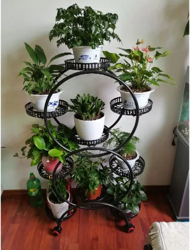 Vista 9 de Soporte de metal para plantas de 6 niveles con ruedas, soporte para macetas para plantas de interior, soporte para plantas de interior, soporte