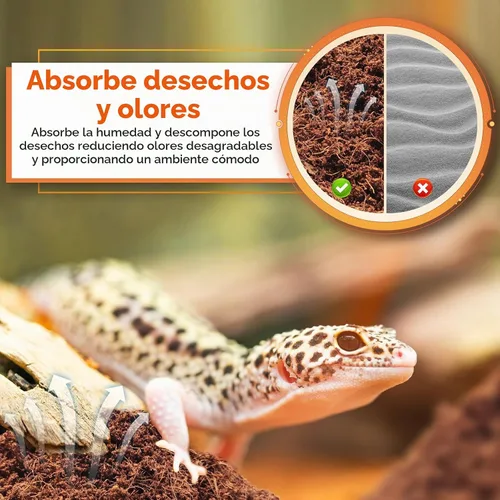 Vista 4 de Legigo 2 Pack Sustrato de fibra de coco comprimida - 100% fibra de coco orgánica en bloque para cama de reptiles, sustrato natural de cáscara