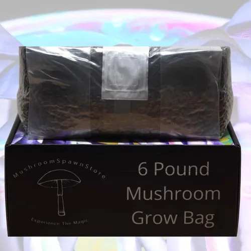 Vista 4 de Bolsa de cultivo de hongos todo en uno Jumbo de 6 libras