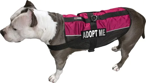 Vista 20 de Dogline MaxAire - Chaleco de malla para perros de 13 a 16 pulgadas y 2 parches extraíbles Adopt Me, talla S, color negro