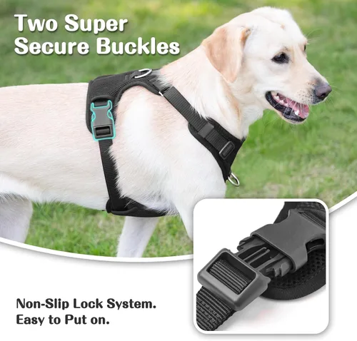 Vista 4 de Arnés sin tirones para perros pequeños, medianos y grandes, chaleco de malla ajustable de 2 capas con doble clip, a prueba de escapes, liberación
