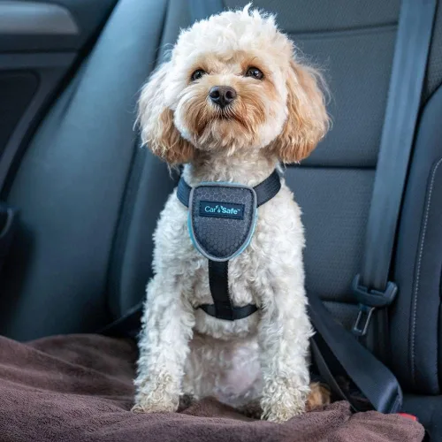 Vista 2 de CarSafe Arnés de viaje para perro, seguro de forma segura para perro en el automóvil, garantiza leyes de carretera y términos de seguro cuando