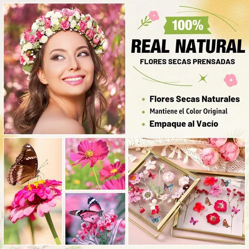 Vista 2 de 160 piezas de flores secas prensadas a granel natural, rosa, rosa