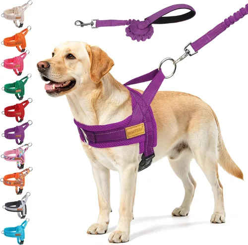 Vista 48 de BEAUTYZOO Arnés para Perros Pequeños, Juego de Arnés y Correa sin Tirones, Arnés de Pecho para Cachorros a Prueba de Escapes con Mango, Arnés Beige
