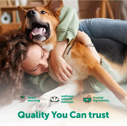Vista 5 de Micro Ingredients Probióticos para perros, 240 masticables blandos Masticables probióticos diarios para la salud digestiva para perros