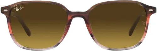 Vista 22 de Ray-Ban RB2193 Leonard - Gafas de sol cuadradas
