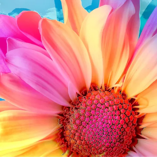 Vista 6 de Kits de Pintura de Diamantes 5D para Adultos Flores, Arte de Diamante DIY Colorido Daisy Taladro Redondo Completo, Pintura de Gerbera Daisy