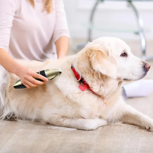 Vista 5 de Kit de aseo para perros, cortadora inalámbrica para perros, recortadora