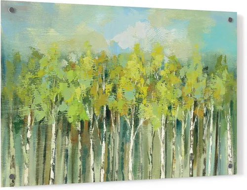 Vista 7 de Epic Art 'April Tree Tops' de Silvia Vassileva, arte de pared de vidrio acrílico, 16.0 x 12.0 in