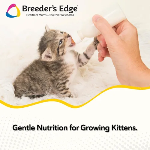 Vista 2 de Breeder's Edge Foster Care - Reemplazo de leche en polvo para gatitos felinos, fórmula para recién nacidos y gatos adultos, nutrición completa