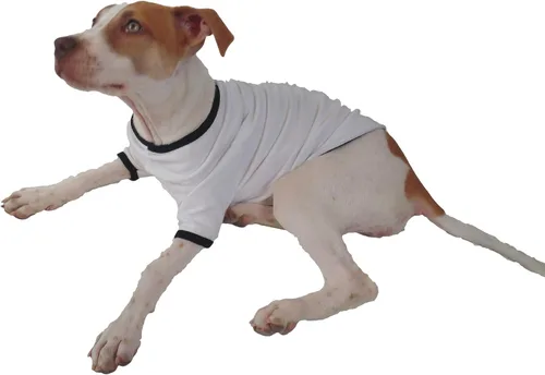 Vista 2 de tooloud Cute Vaca perro camisa, S