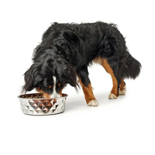 Vista 4 de Comedero para Perro Hunter Silicona Acero Inoxidable 1,05 L