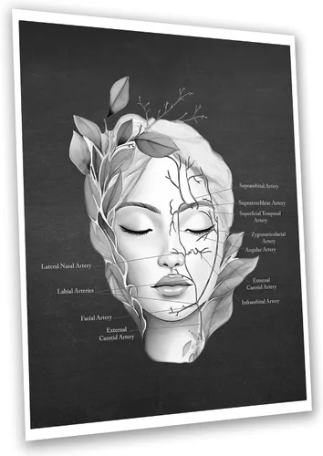 Vista 7 de Gnosis Picture Archive Cuadro de anatomía facial de almohadilla de grasa facial, músculos, vasos sanguíneos, juego de 3 impresiones artísticas sin