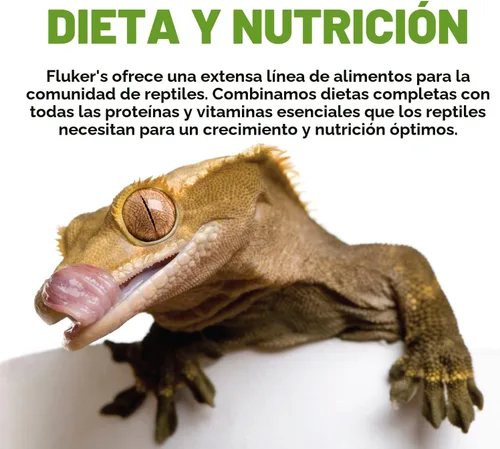Vista 5 de Fluker's Alimento de pellets pequeños de dieta de tortuga premium, 7 onzas