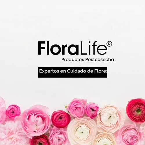 Vista 8 de Crowning Glory - Spray para flores. 32 fl. Oz., Transparente