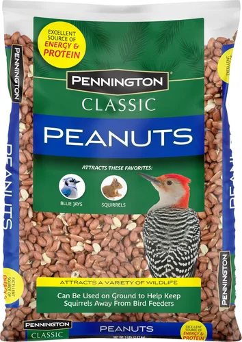 Vista 22 de Pennington - Pride Wild Finch - Mezcla de semillas para pájaros silvestres, 10 libras For outside feeders, special mix for a variety of musical &