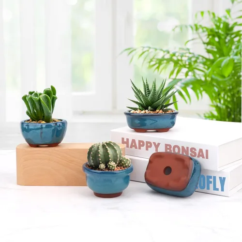 Vista 7 de kilofly Happy Bonsai - Juego de 4 macetas esmaltadas con 4 pantallas de drenaje de malla suave