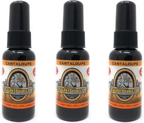 Vista 24 de BluntPower (Michelle's Best, 3 unidades) Ambientador concentrado – Ambientador a base de aceite premium en aerosol para el hogar y el coche – Spray