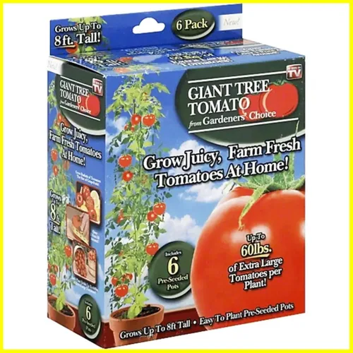 Vista 6 de Gardeners' Choice - Árbol de tomate gigante