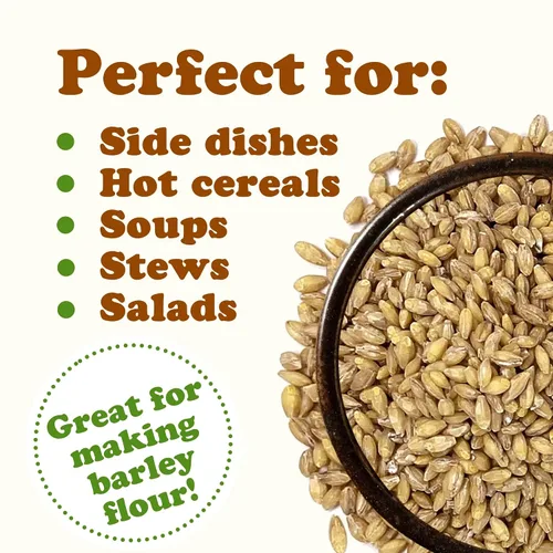 Vista 6 de Food to Live Grano de cebada descascarada, 1 libra, 100% grano entero, vegano, ideal para hornear en casa, elaboración de cerveza, molienda. Rico