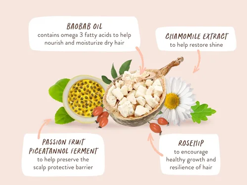 Vista 9 de Babo Botanicals Defining Baobab & Rosehip Shampoo + Bundle with Conditioner – For extra dry, curly hair – Smooth & Define – Passion Fruit Ferment