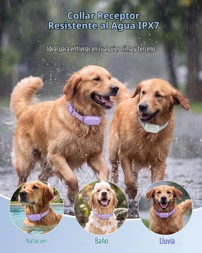 Vista 4 de PATPET Collar de choque para perros (10 a 120 libras), collar de entrenamiento impermeable IPX7 recargable de 4000 pies con control remoto para 2