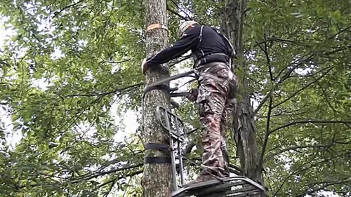 Vista 3 de Hunter Safety System Correa de escalada de Lineman: equipo de caza cómodo y equipo de caza duradero