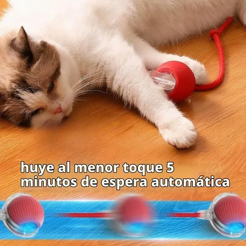 Vista 3 de Paquete de 3 juguetes automáticos para gatos, juguete interactivo de 360° para gatos de interior (rojo, gris, verde)